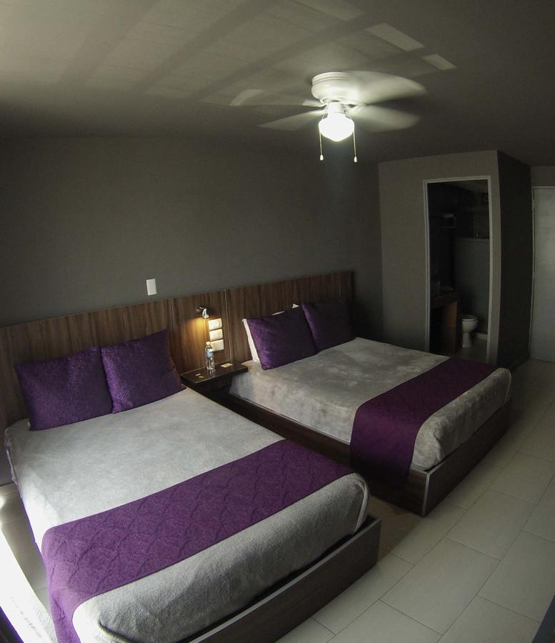 Hotel Fg León Dış mekan fotoğraf